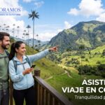 asistencia de viaje o asistencia al viajero
